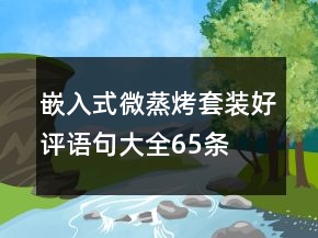 嵌入式微蒸烤套裝好評(píng)語(yǔ)句大全65條