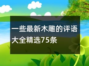 一些最新木雕的評語大全精選75條