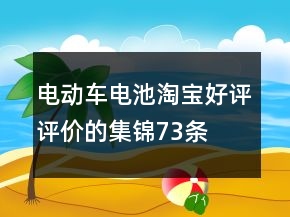 電動(dòng)車電池淘寶好評(píng)評(píng)價(jià)的集錦73條