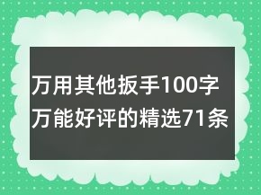 萬用其他扳手100字萬能好評(píng)的精選71條