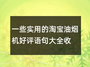 一些實(shí)用的淘寶油煙機(jī)好評語句大全收集72條
