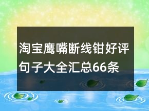 淘寶鷹嘴斷線鉗好評(píng)句子大全匯總66條