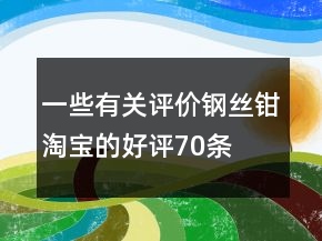 一些有關評價鋼絲鉗淘寶的好評70條