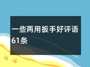一些兩用扳手好評(píng)語(yǔ)61條
