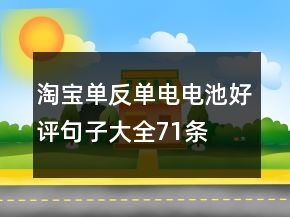 淘寶單反、單電電池好評句子大全71條