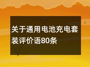 關(guān)于通用電池充電套裝評(píng)價(jià)語(yǔ)80條