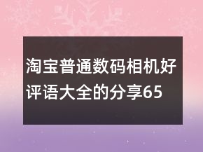 淘寶普通數(shù)碼相機(jī)好評(píng)語大全的分享65條