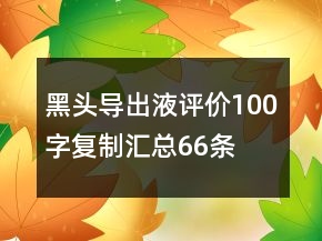 黑頭導(dǎo)出液評(píng)價(jià)100字復(fù)制匯總66條
