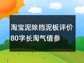 淘寶泥除、擋泥板評價80字長淘氣值參考66條