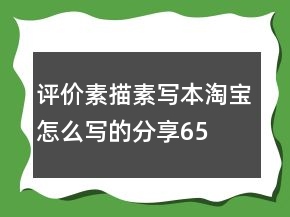 評價素描、素寫本淘寶怎么寫的分享65條
