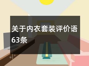 關(guān)于內(nèi)衣套裝評(píng)價(jià)語(yǔ)63條