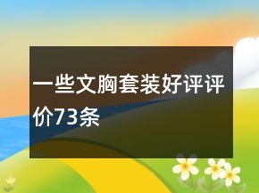 一些文胸套裝好評評價(jià)73條