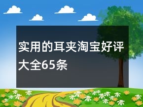 實(shí)用的耳夾淘寶好評大全65條