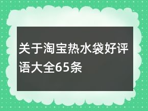 關(guān)于淘寶熱水袋好評語大全65條