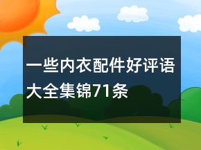 一些內(nèi)衣配件好評(píng)語大全集錦71條