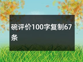 碗評價100字復制67條