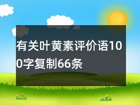 有關(guān)葉黃素評價語100字復(fù)制66條