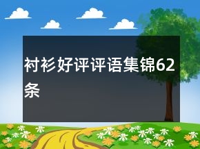襯衫好評(píng)評(píng)語集錦62條