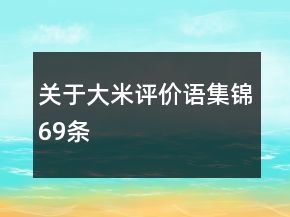 關(guān)于大米評(píng)價(jià)語集錦69條
