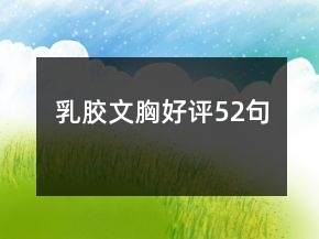 乳膠文胸好評52句