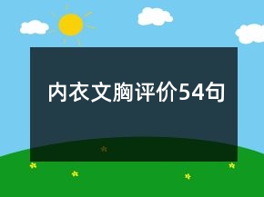 內(nèi)衣文胸評(píng)價(jià)54句
