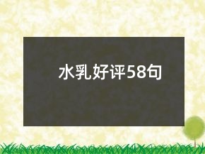 水乳好評(píng)58句