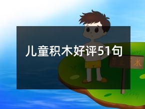 兒童積木好評(píng)51句