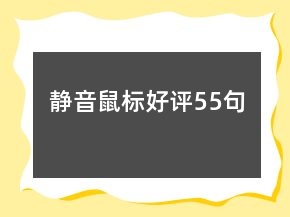 靜音鼠標(biāo)好評(píng)55句