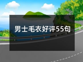 男士毛衣好評(píng)55句