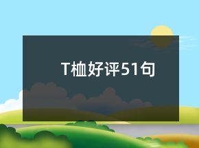 T桖好評(píng)51句
