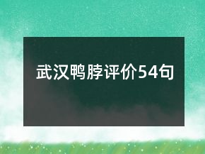 武漢鴨脖評(píng)價(jià)54句