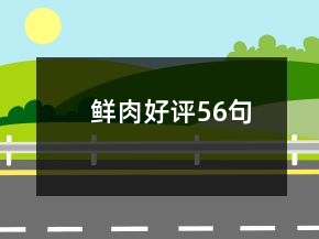 鮮肉好評(píng)56句