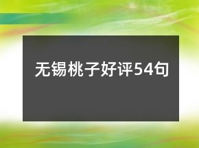 無錫桃子好評54句
