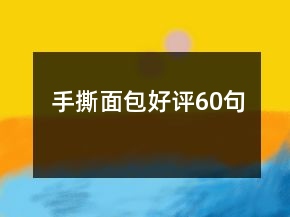 手撕面包好評60句