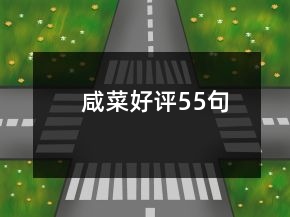 咸菜好評55句