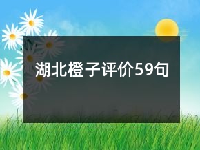湖北橙子評價(jià)59句