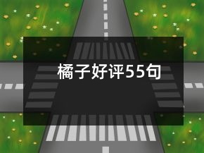 橘子好評(píng)55句