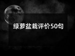 綠蘿盆栽評價50句