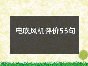 電吹風(fēng)機(jī)評價55句