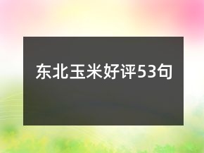 東北玉米好評53句