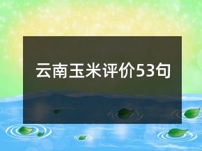 云南玉米評價53句
