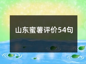 山東蜜薯評價54句