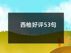 西柚好評(píng)53句