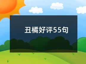 丑橘好評55句