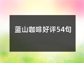 藍(lán)山咖啡好評(píng)54句