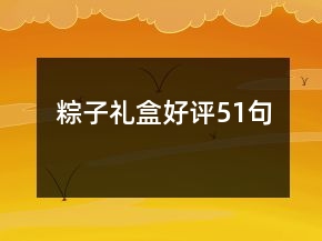 粽子禮盒好評51句