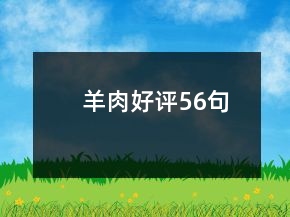 羊肉好評56句