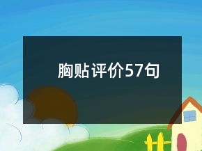 胸貼評(píng)價(jià)57句