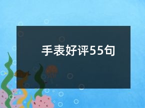 手表好評(píng)55句