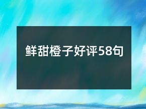 鮮甜橙子好評(píng)58句